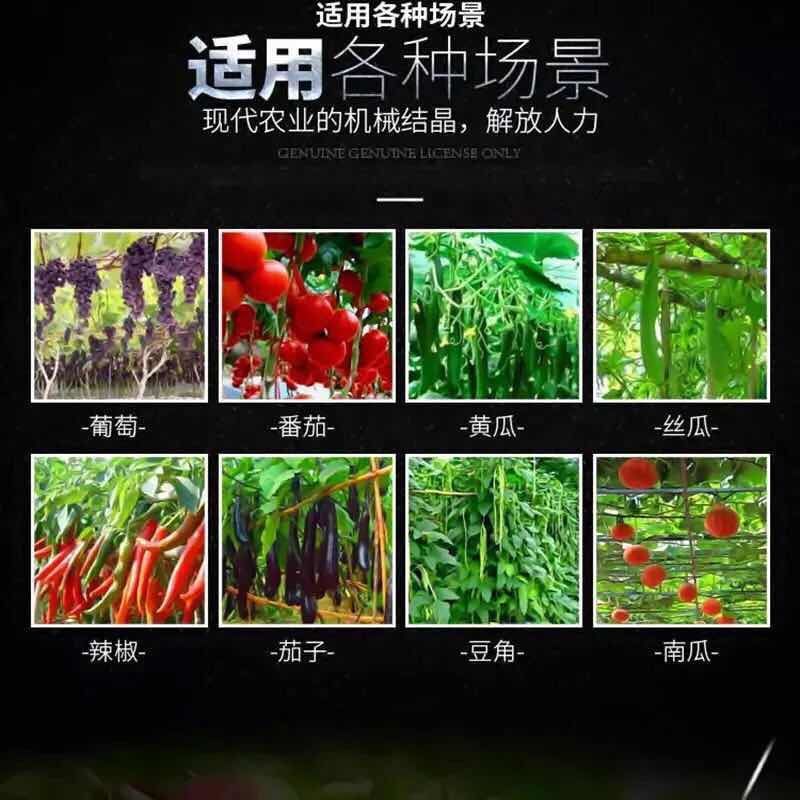 新款双压葡萄西红柿黄瓜绑枝机绑蔓枪绑枝器绑枝机绑蔓器捆绑
