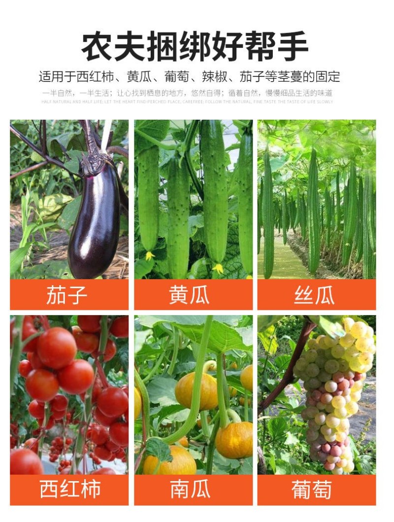 新款双压葡萄西红柿黄瓜绑枝机绑蔓枪绑枝器绑枝机绑蔓器捆绑