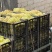 无核葡萄加工专用罐头厂葡萄工厂专用葡萄