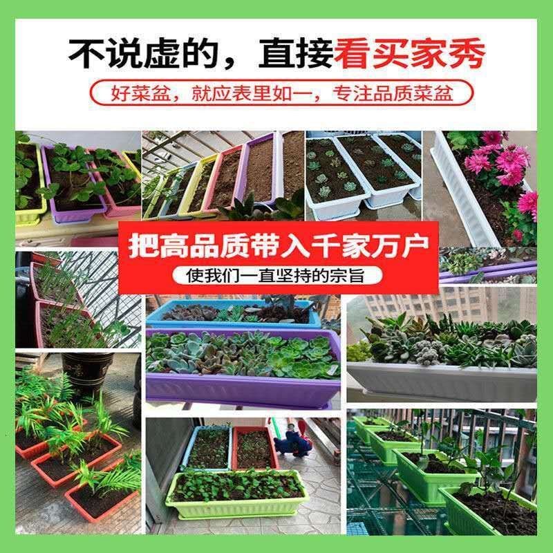 （包邮）塑料种菜盆阳台种菜神器室内特大蔬菜长方形花盆