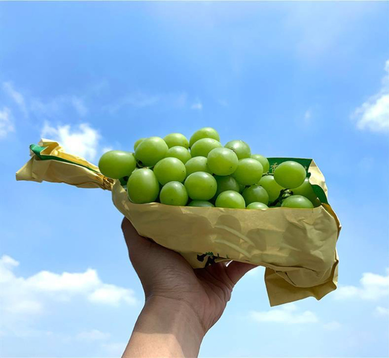 阳光玫瑰
