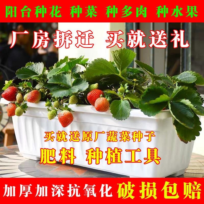 （包邮）塑料种菜盆阳台种菜神器室内特大蔬菜长方形花盆