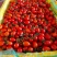 元谋小西红柿口感酸甜有喜欢的联系,基地直供。