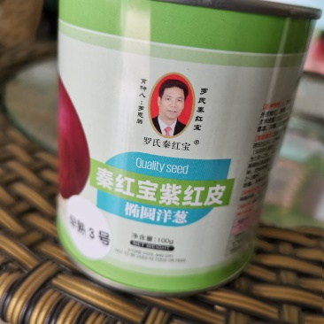 精装秦红宝早熟3号/晚熟6号紫红皮椭圆葱种子