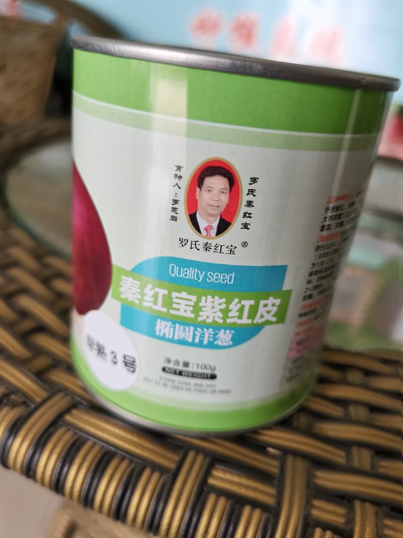 精装秦红宝早熟3号/晚熟6号紫红皮椭圆葱种子