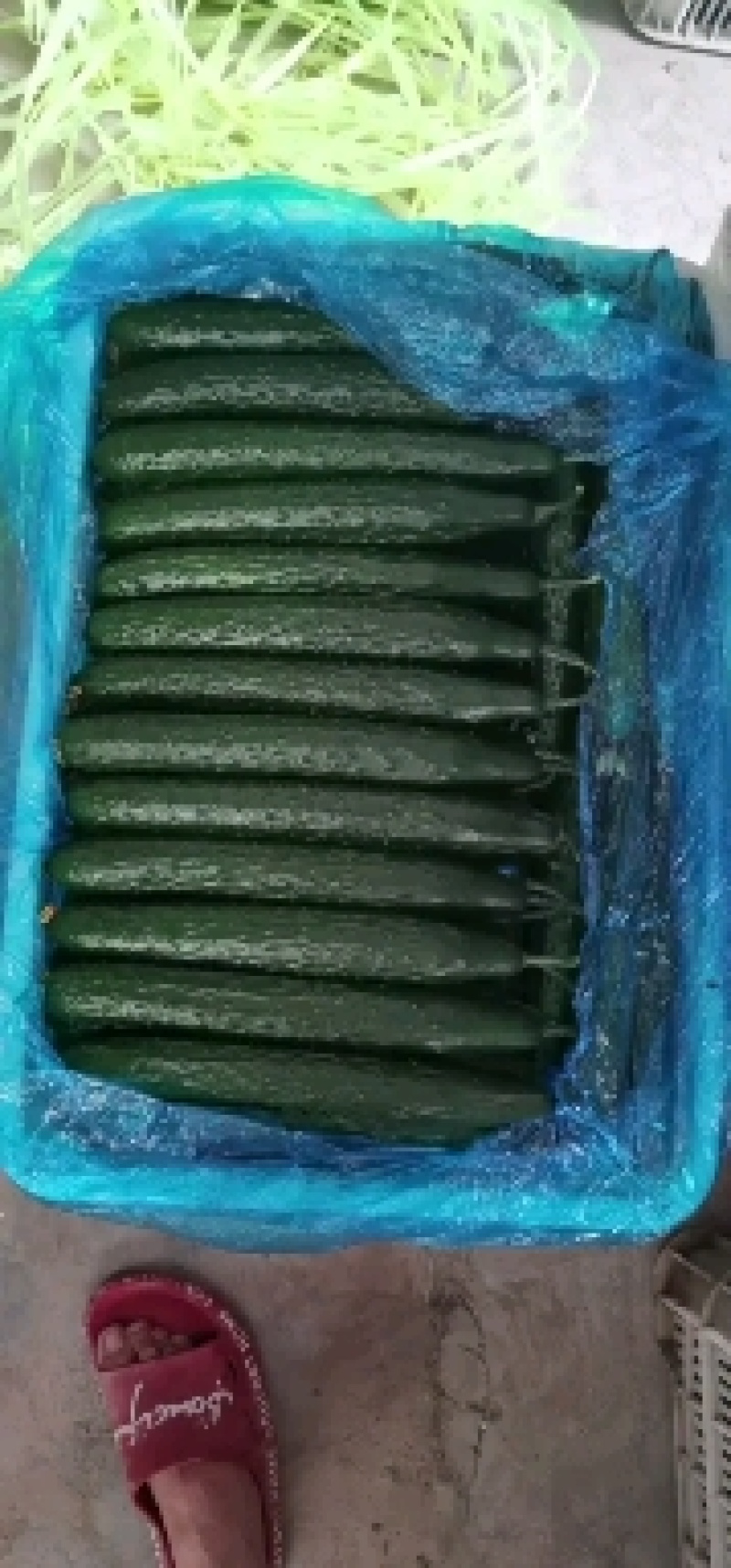 （基地直供）山东莘县精品黄瓜货源充足，品质上乘，货发全国