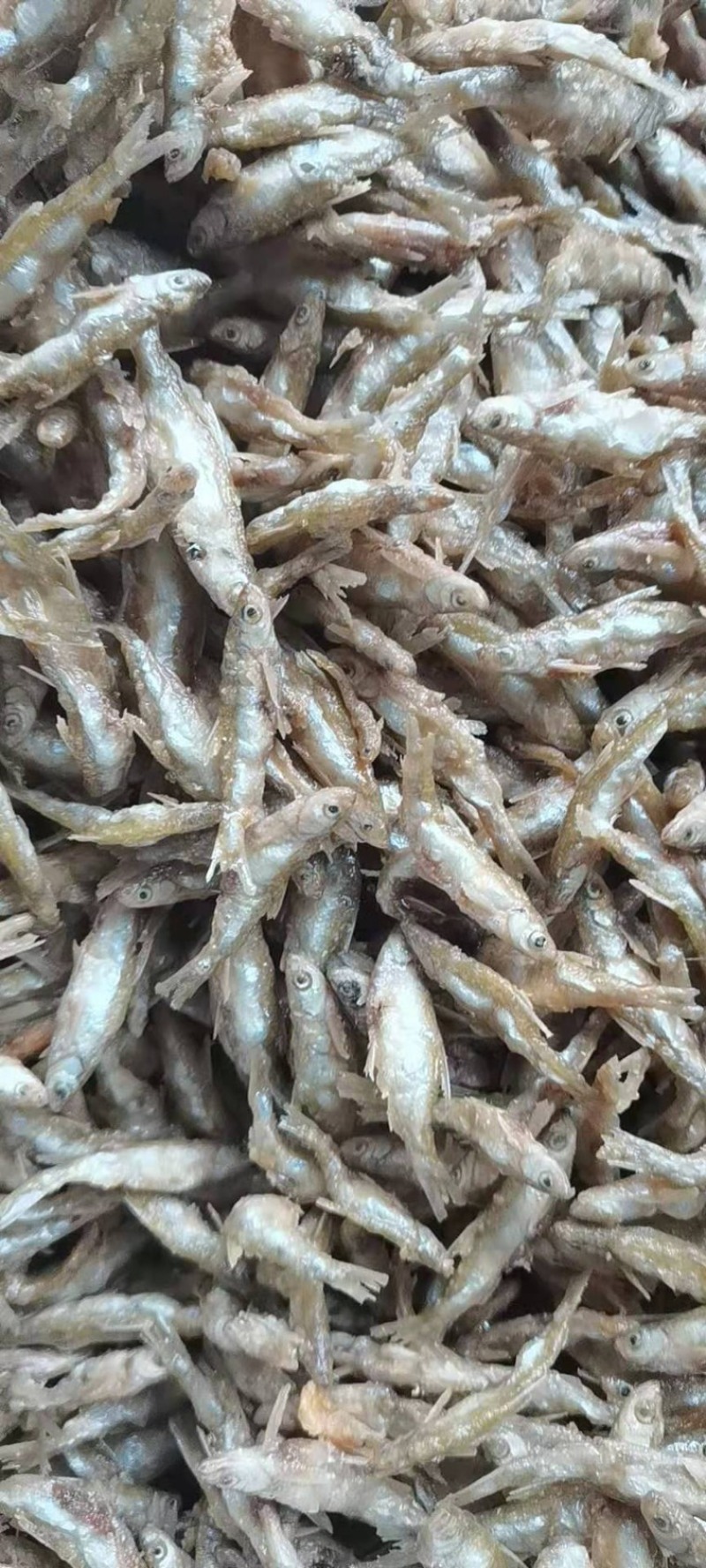 油炸白肖不破肚无盐带面粉一件30斤