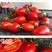 【中通快递】现摘新鲜圣女果小西红柿樱桃番茄6斤装多省包邮