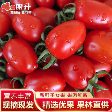 【中通快递】现摘新鲜圣女果小西红柿樱桃番茄6斤装多省包邮