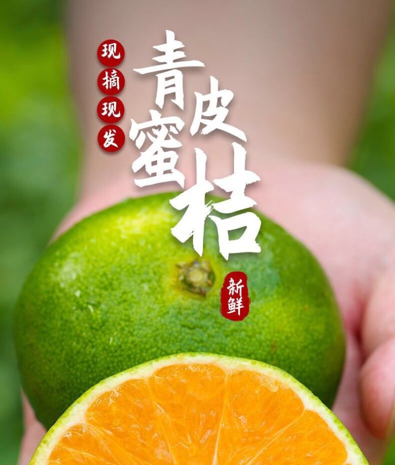（包邮）云南无籽蜜桔新鲜橘子当季黄皮桔子小青桔整箱批发