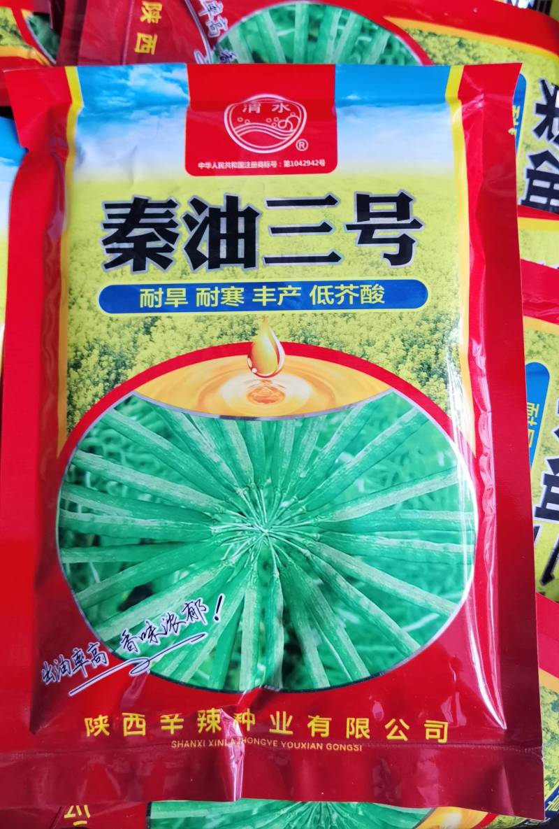 【油菜种子基地专用】秦油三号油菜，耐寒耐旱高产高油低芥酸