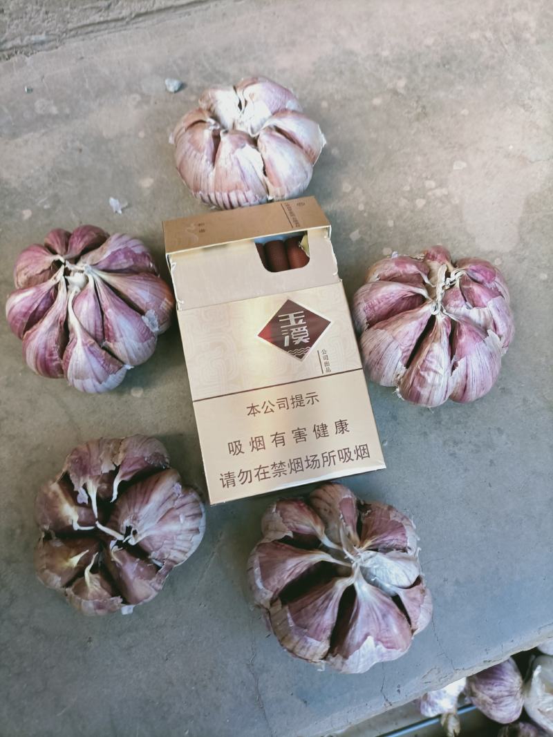云南红皮大蒜，独头蒜，多瓣蒜