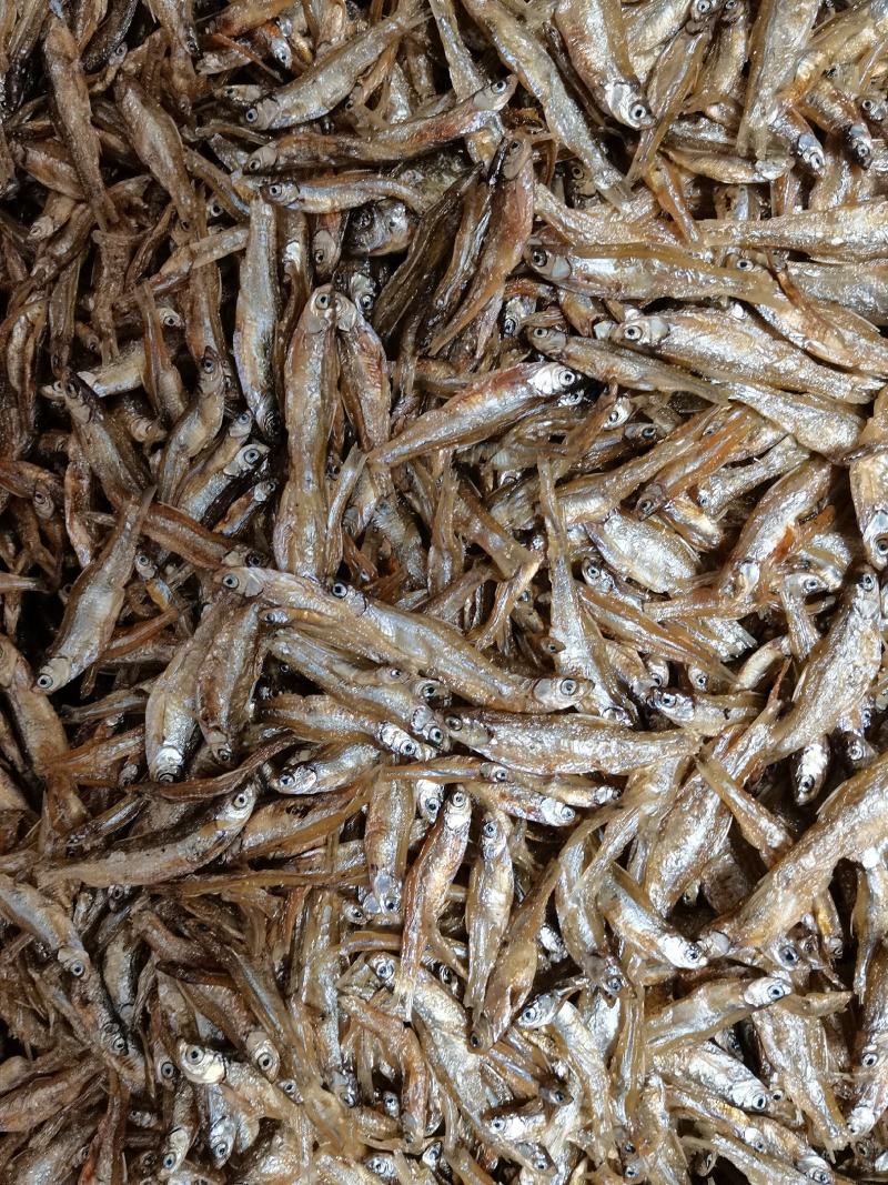 油炸鱼干、油炸白肖鱼、自然鱼干、水库鱼干、河水鱼干