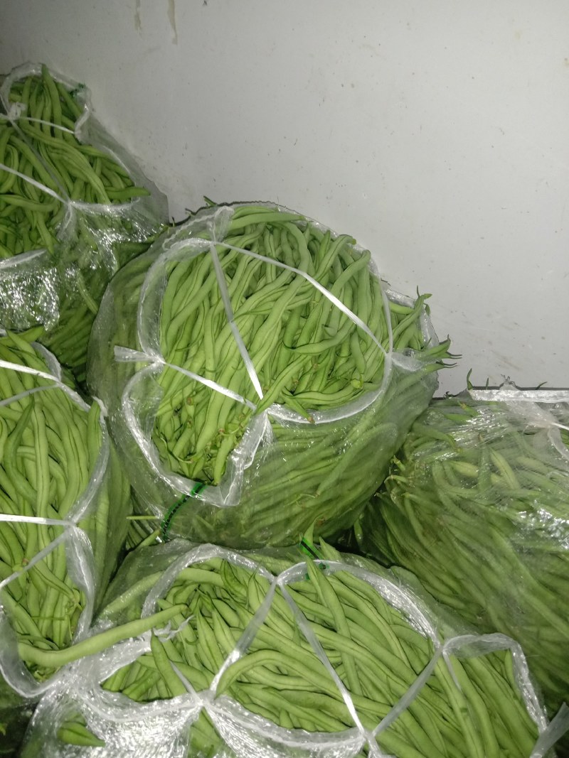架豆王