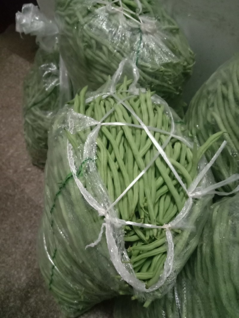 架豆王