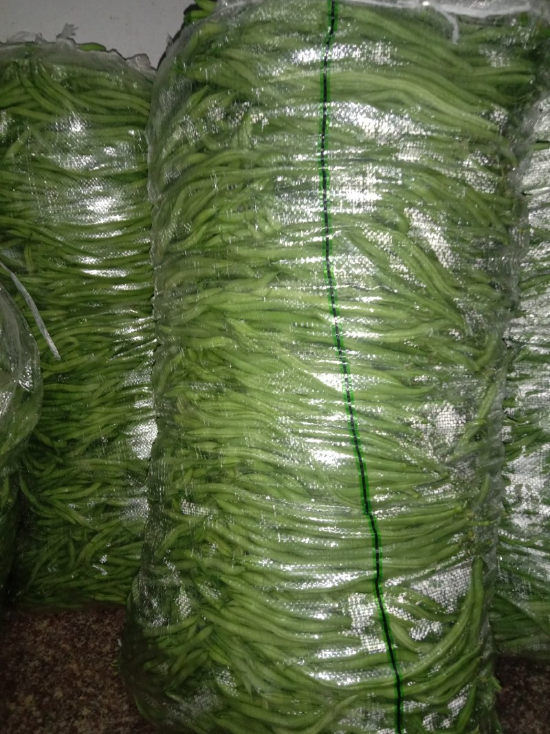 架豆王