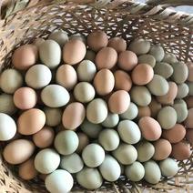 土鸡蛋黄绿混装支持全国发货长期供应货源稳定养殖场直供