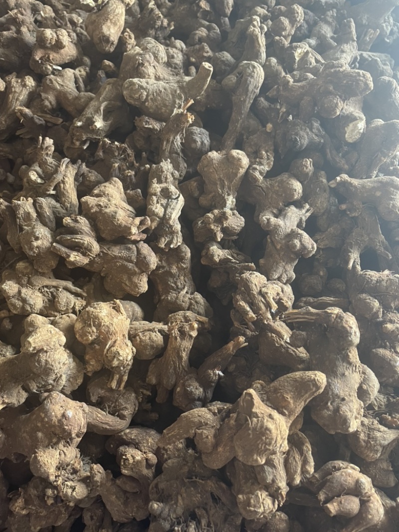 白术，无硫白术片10斤包邮，无硫手选白术片，药典标准