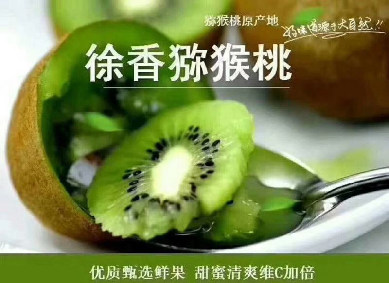 陕西秦岭山优质徐香猕猴桃