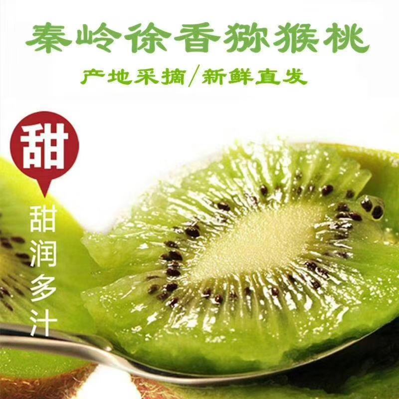 陕西秦岭山优质徐香猕猴桃