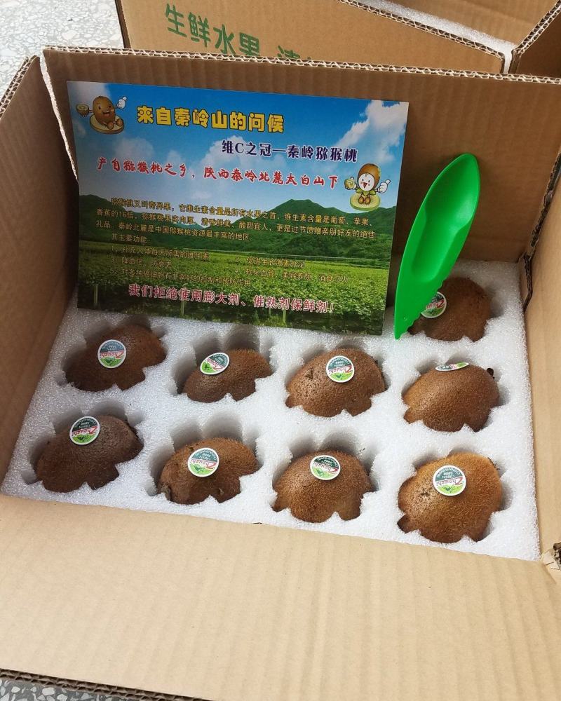 陕西秦岭山优质徐香猕猴桃