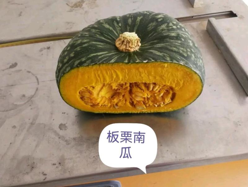 南瓜，板栗南瓜，基地头岔老瓜对接各种平台市场加工厂