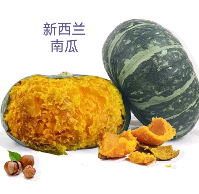 南瓜，板栗南瓜，基地头岔老瓜对接各种平台市场加工厂