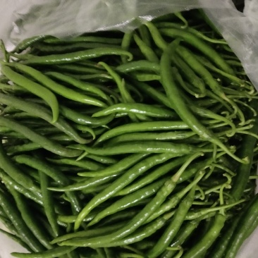 线椒一手货源