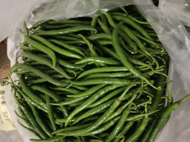 线椒一手货源