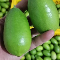 香水柠檬一件代发优势大，货源稳定全国发货