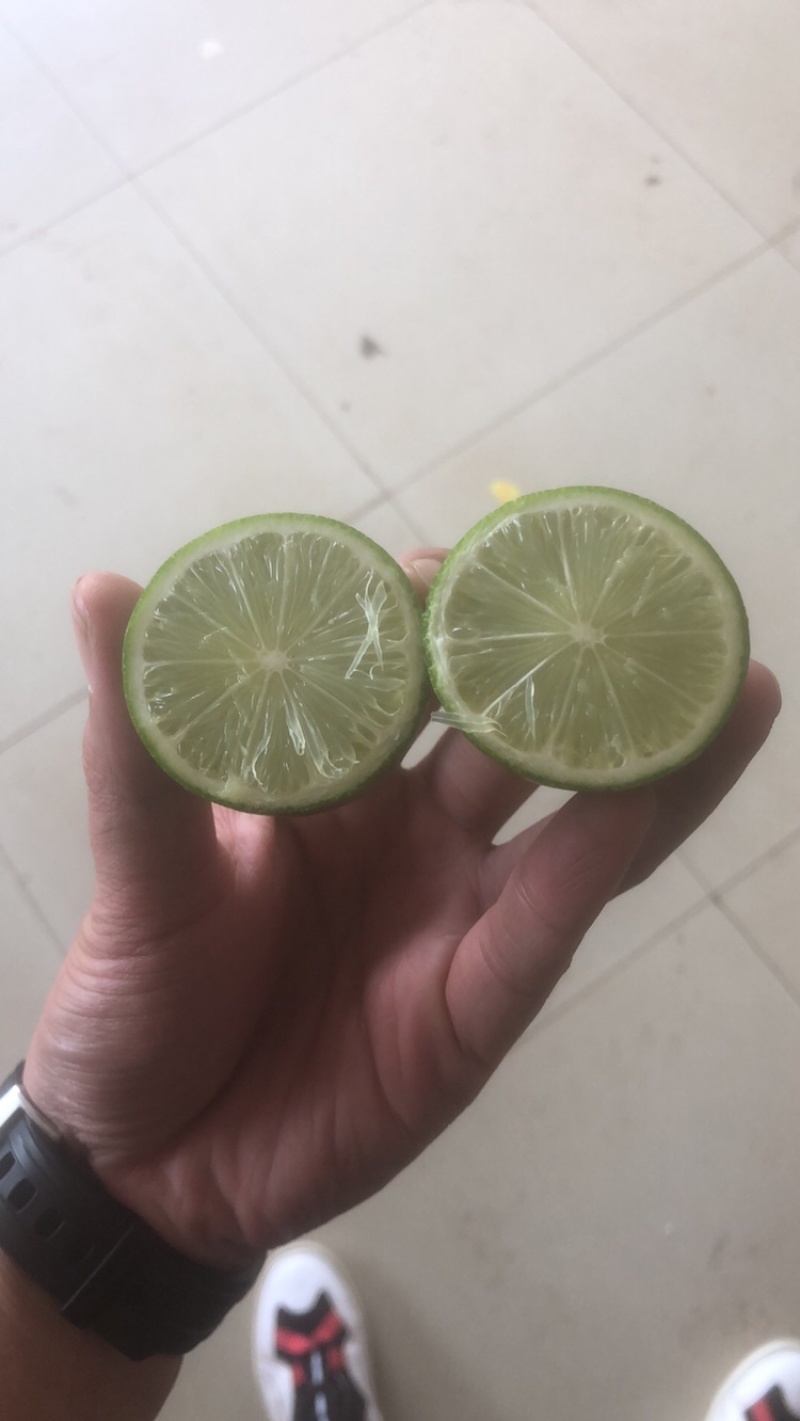 香水柠檬一件代发优势大，货源稳定全国发货