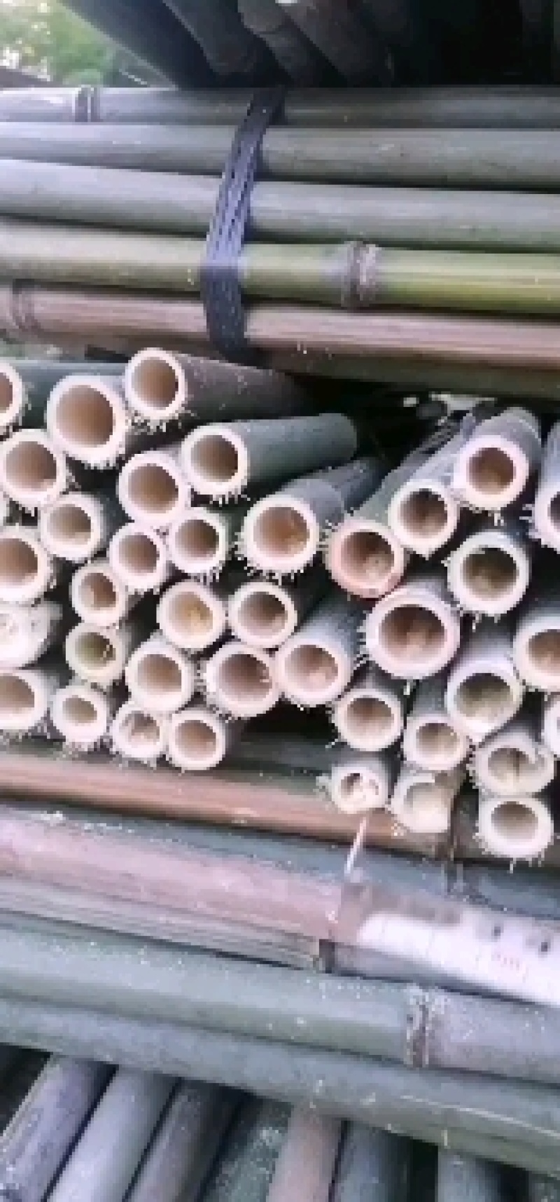 果撑，竹竿，撑果杆竹，沃柑，砂糖橘。。。