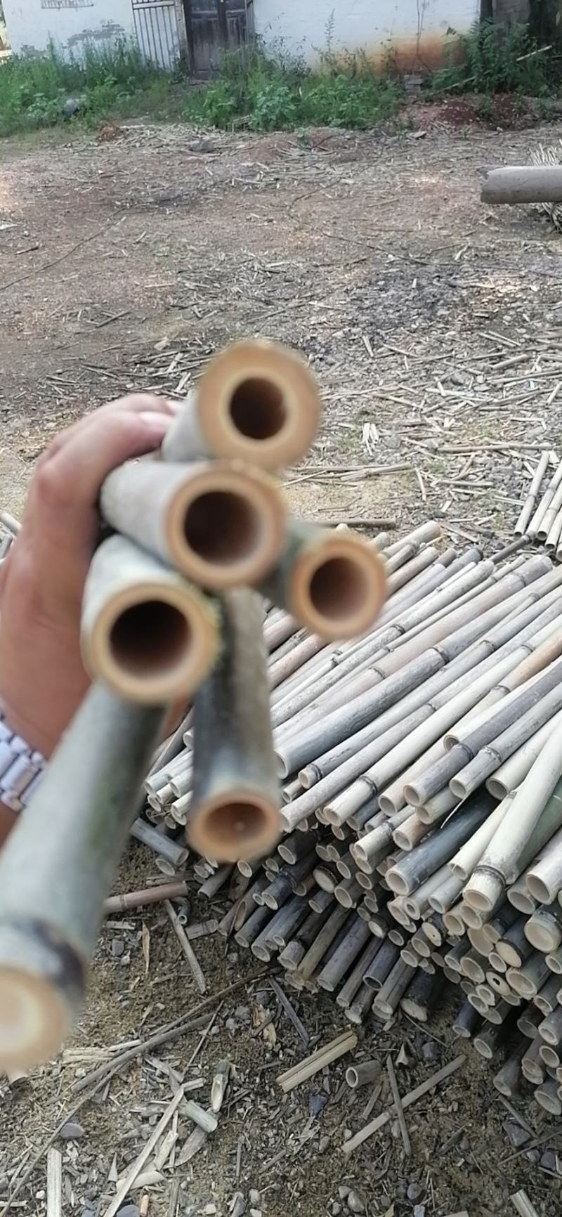 果撑，竹竿，撑果杆竹，沃柑，砂糖橘。。。