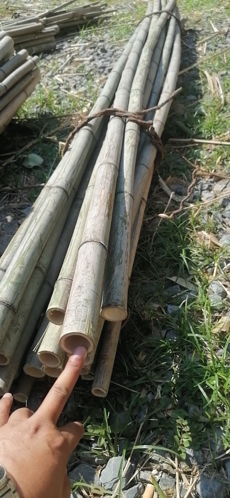 果撑，竹竿，撑果杆竹，沃柑，砂糖橘。。。