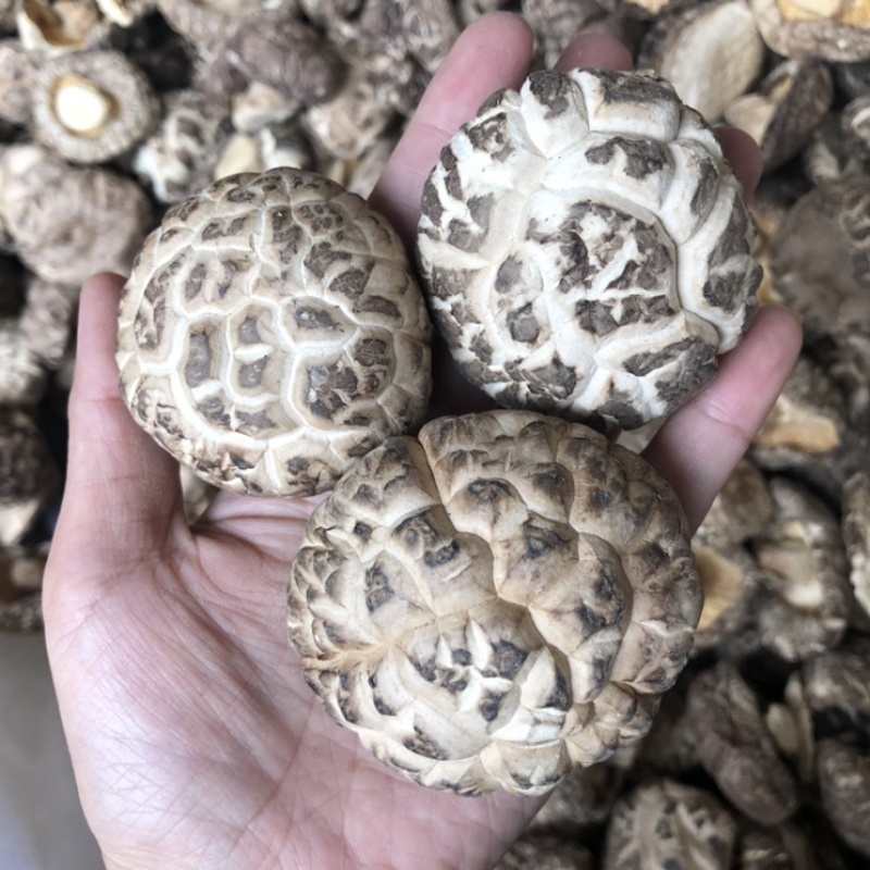 剪脚白花菇干货香菇干货食用菌批发量大优惠