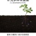 芸苔素内酯，生物调节剂，500克小包装，使用很方便！