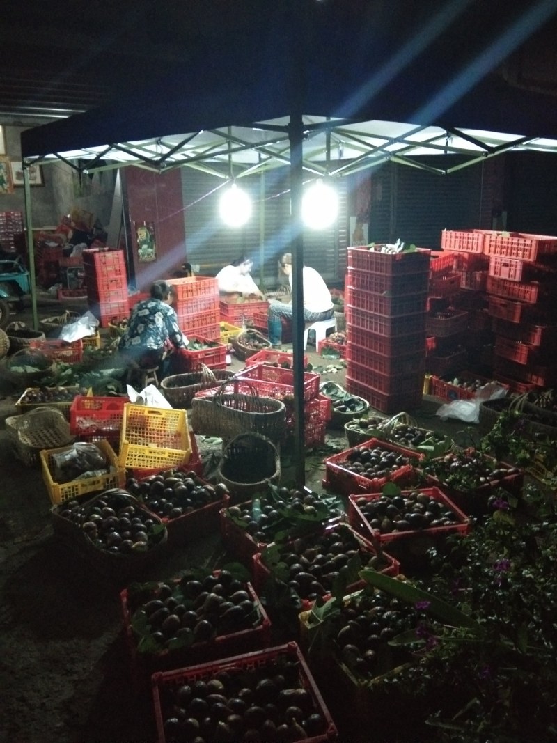 清甜无花果鲜果