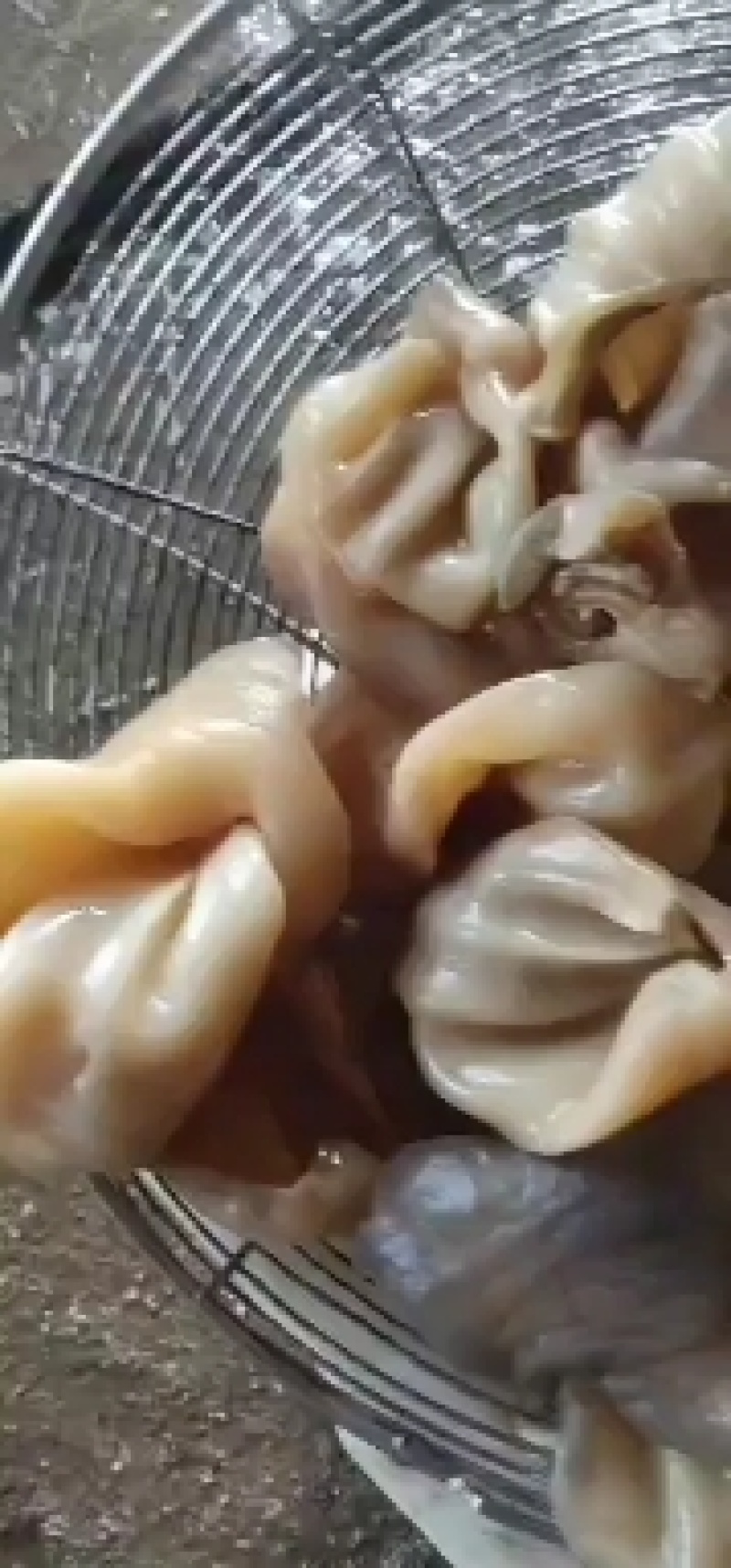 羊耳朵，熟羊耳朵，，生熟羊耳朵，本地山羊耳朵