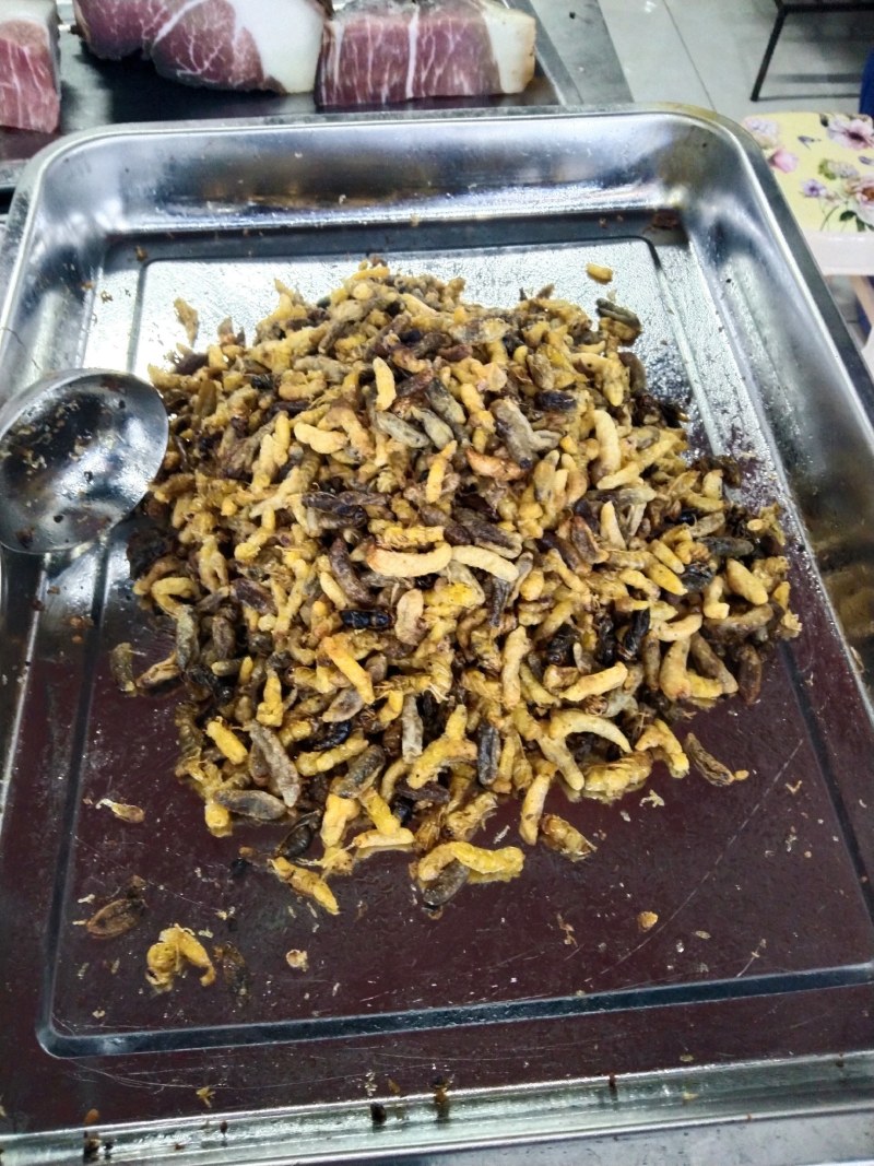 蜂蛹