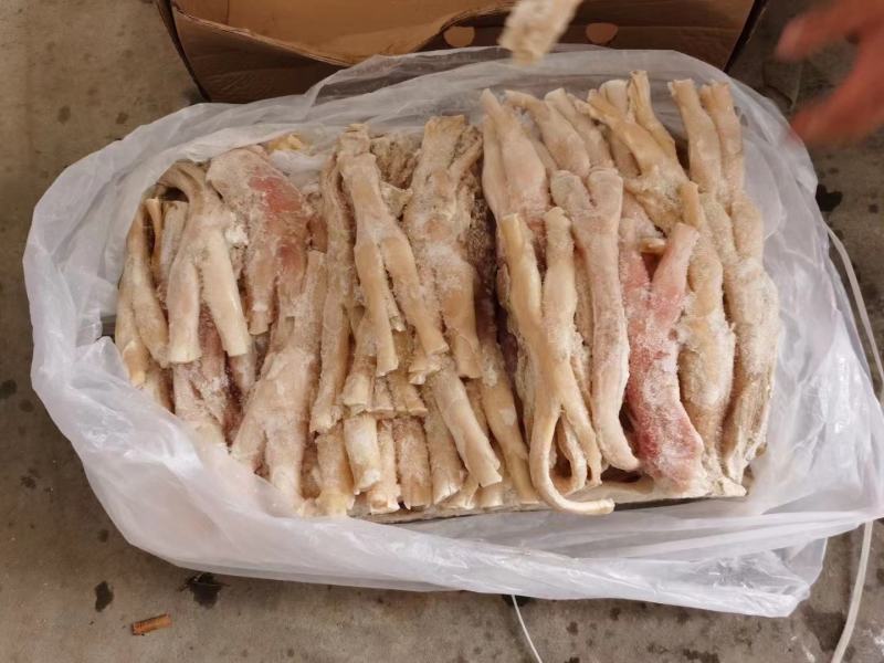 牛蹄筋国产干净无毛厂家直销一手货源。手续齐全