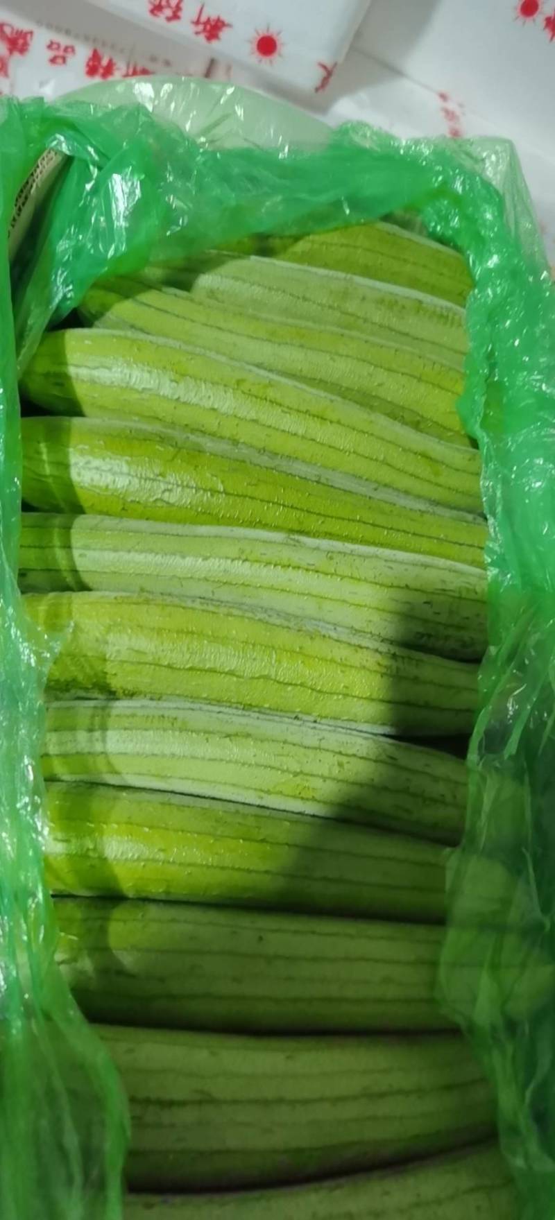 精品丝瓜，产地直发，量大从优。欢迎各位老板前来采购。