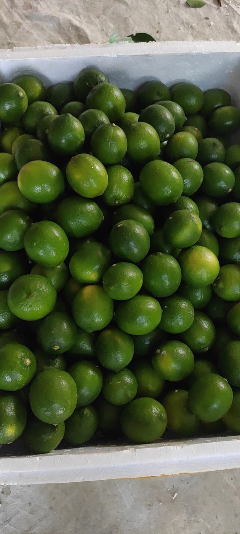 柠檬