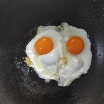 土鸡蛋，柴鸡蛋，鸡蛋蛋鸡基地养殖生产，量大可以长期合作。
