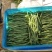 【热销】大棚种植精品豆王一首货源