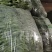 【热销】大棚种植精品豆王一首货源