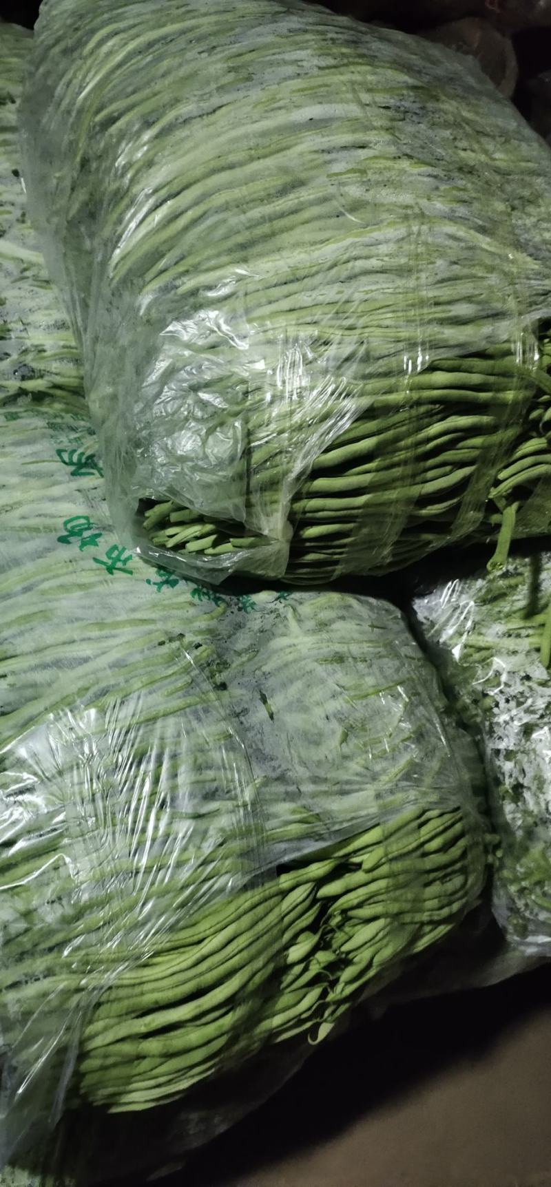【热销】大棚种植精品豆王一首货源