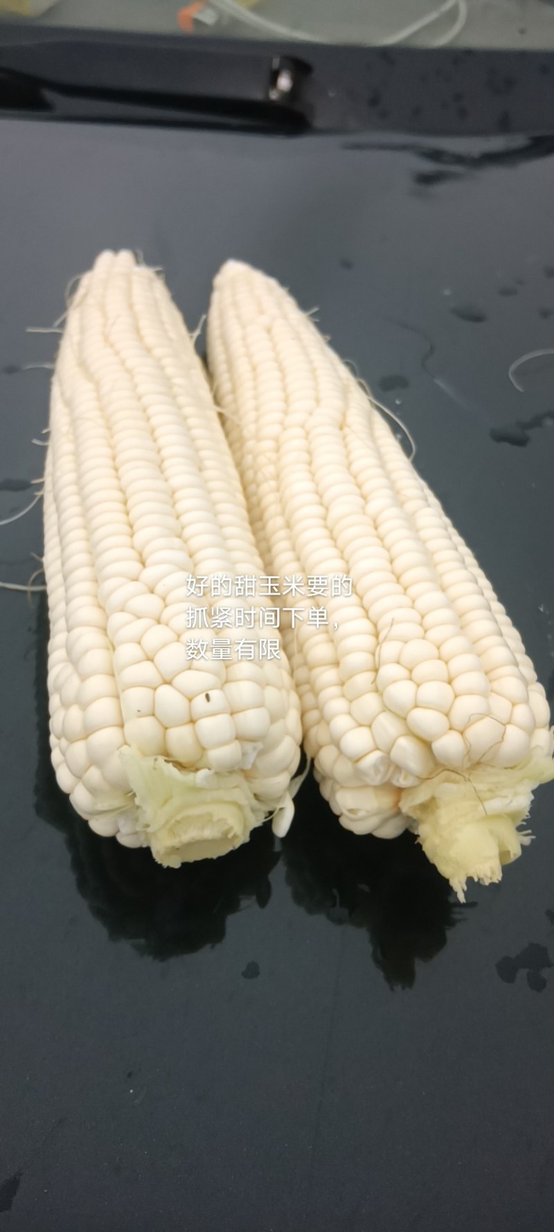 高海拔地区精品糯玉米上市中，欢迎老板看货