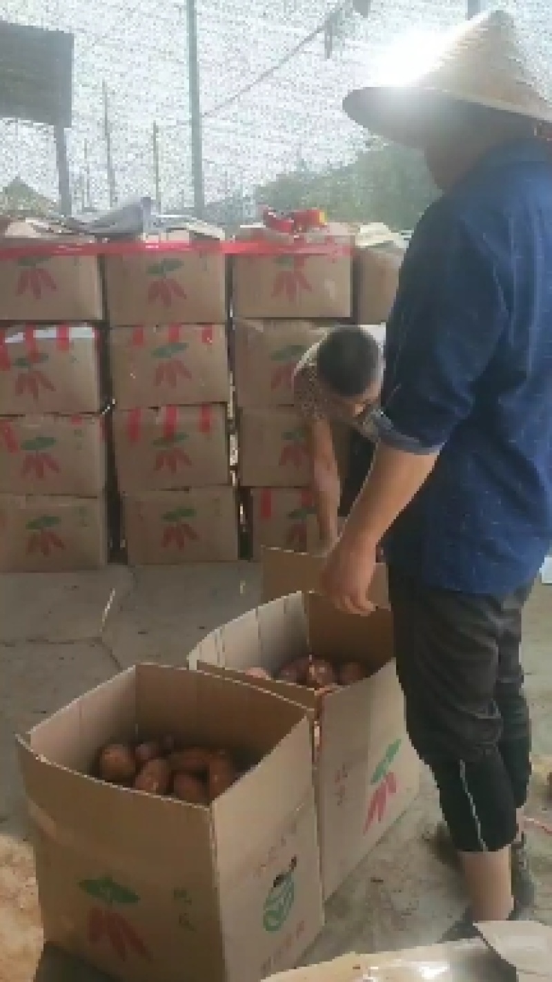 《优质薯大量上市》西瓜红万亩基地，品种齐全，质量杠杠滴。