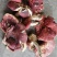 红蘑菇野生秦岭红菌子干货100g农家自采炖肉炒菜红菌子