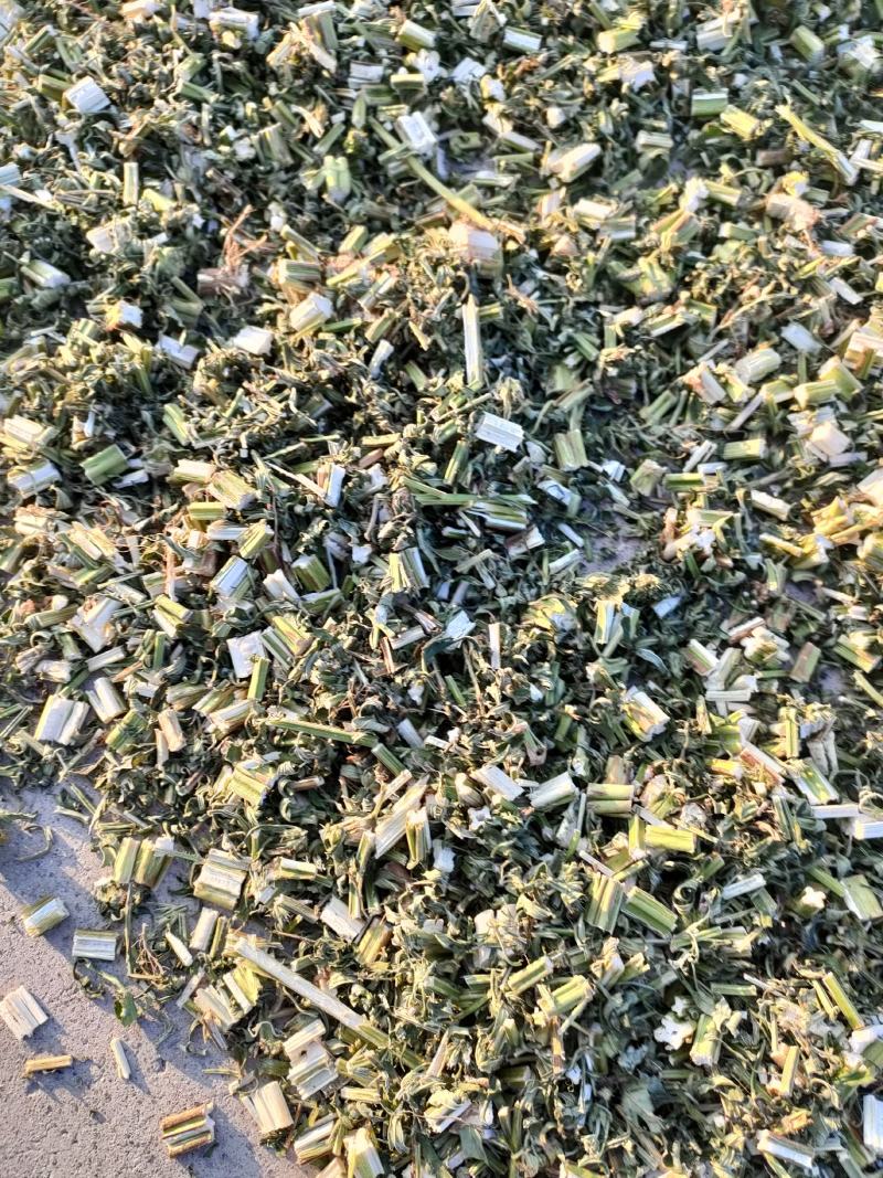 益母草山东省菏泽市鄄城中药材市场，一手货源充足